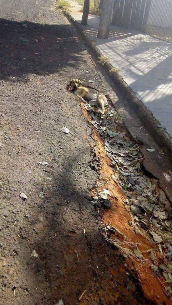 Прикольные картинки четверга (24 фото)
