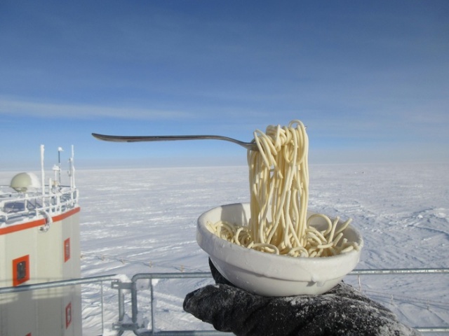 Прикольные картинки понедельника (25 фото)