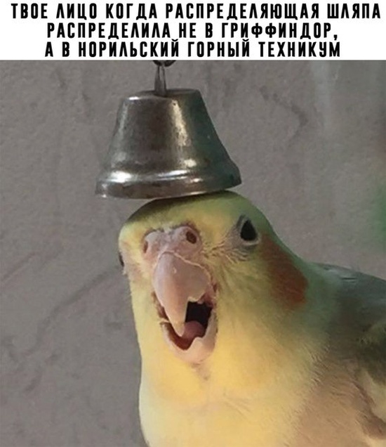 Прикольные картинки понедельника (25 фото)