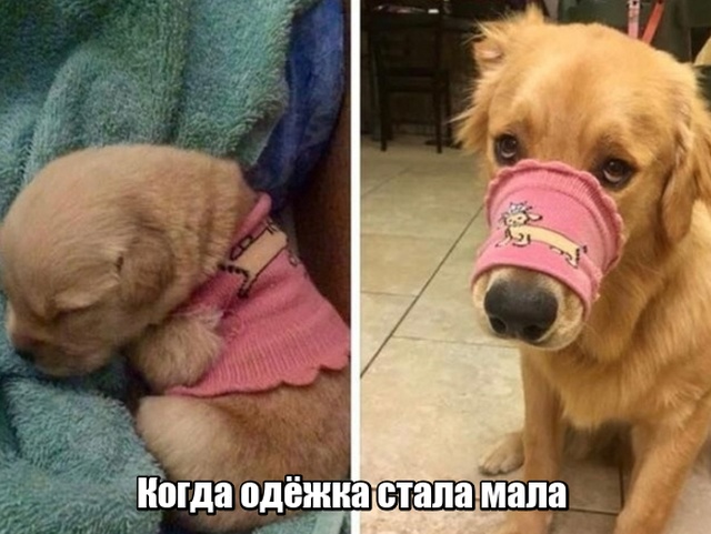 ���������� �������� ����� (20 ����)