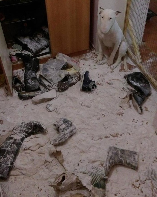 Прикольные картинки понедельника (20 фото)