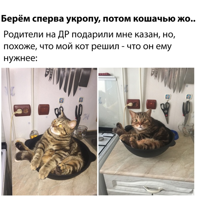 Прикольные картинки понедельника (20 фото)