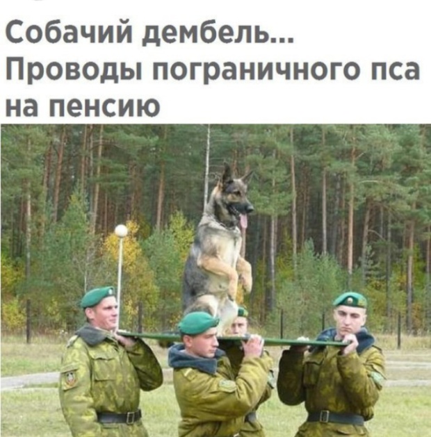 Прикольные картинки понедельника (20 фото)