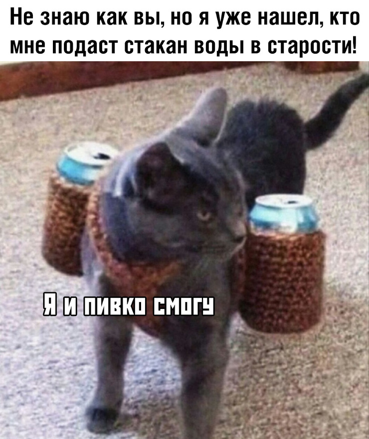 Смешные картинки среды (21 фото)