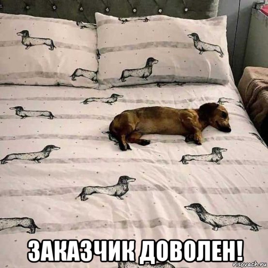 Смешные картинки среды (21 фото)