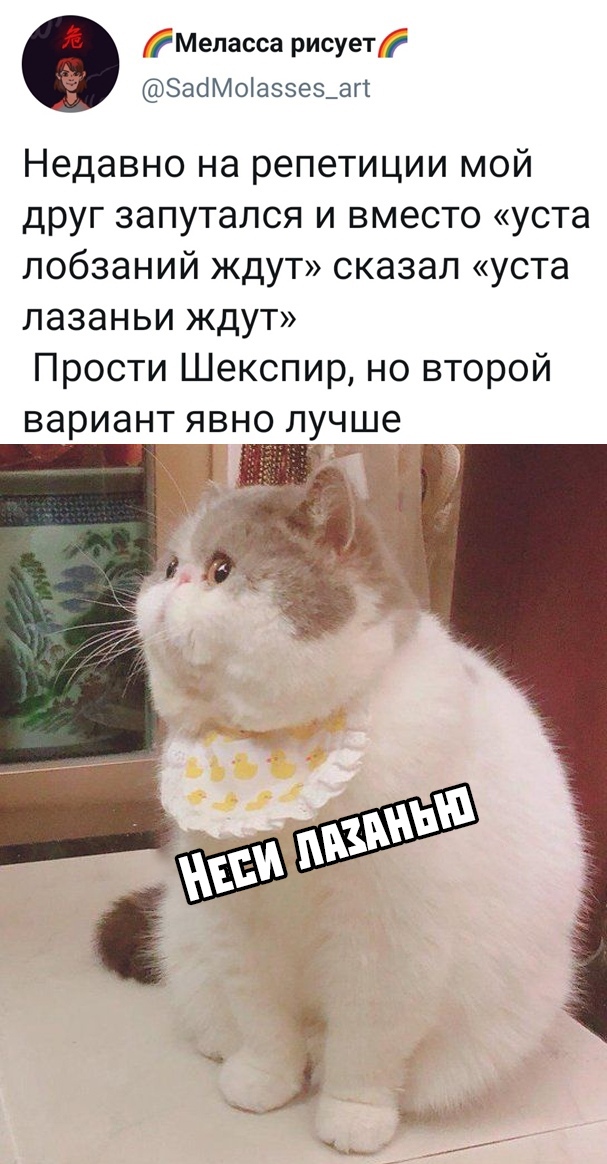   (55 )