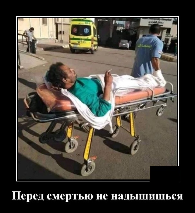 Демотиваторы пятницы (20 фото)