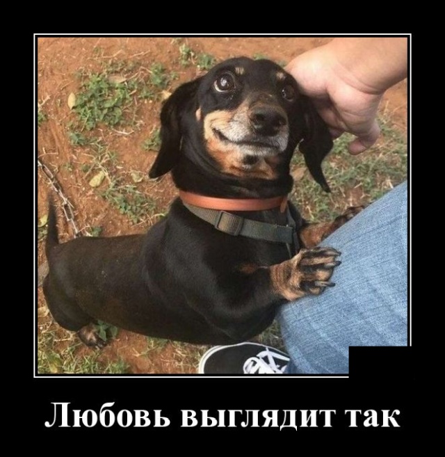 Демотиваторы пятницы (20 фото)