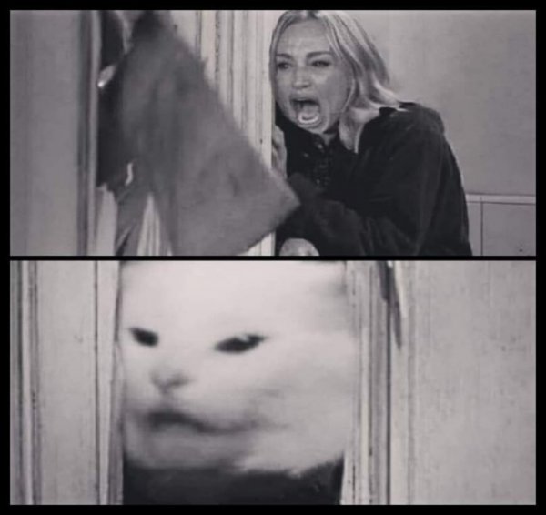 �������� �������� �� ���� (50 ����)