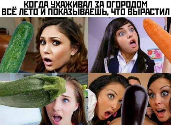 �������� �������� �� ���� (50 ����)