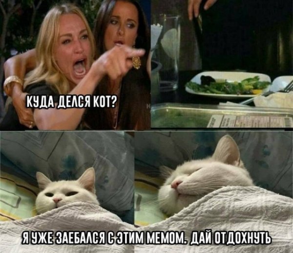 �������� �������� �� ���� (50 ����)