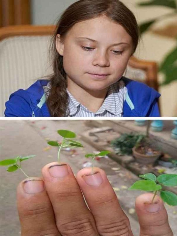 �������� �������� �� ���� (50 ����)