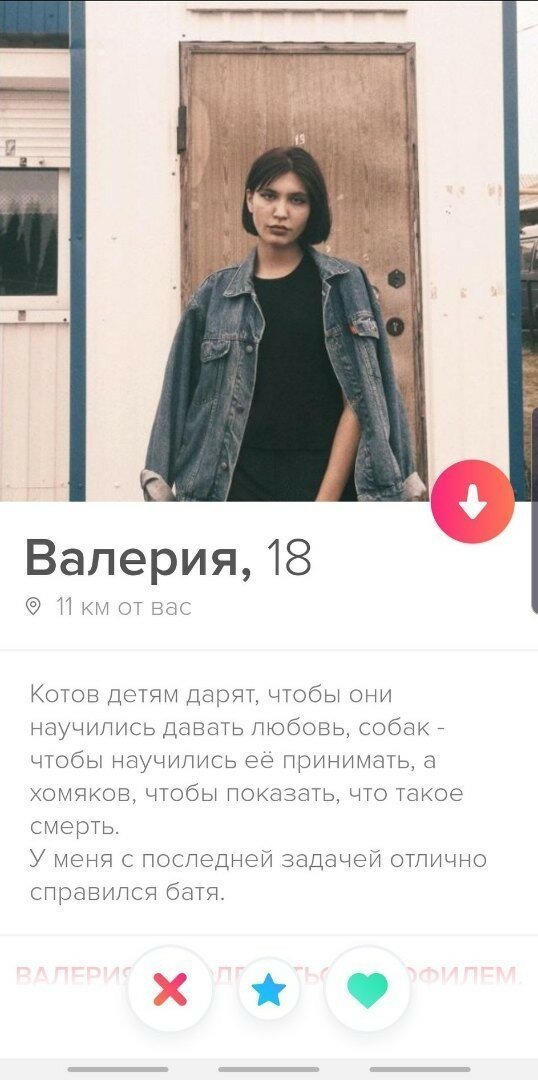    Tinder (22 )