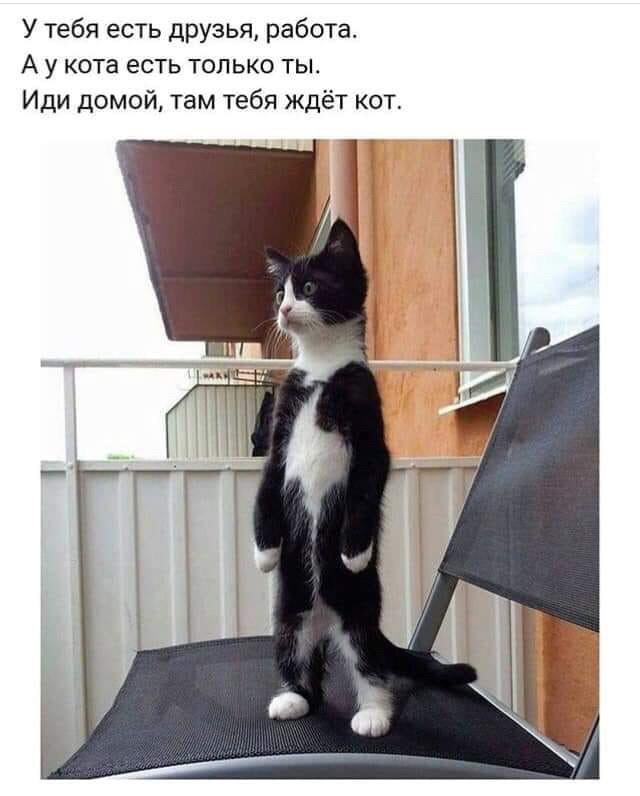 Улыбайтесь! Ржачные картинки (23 фото)