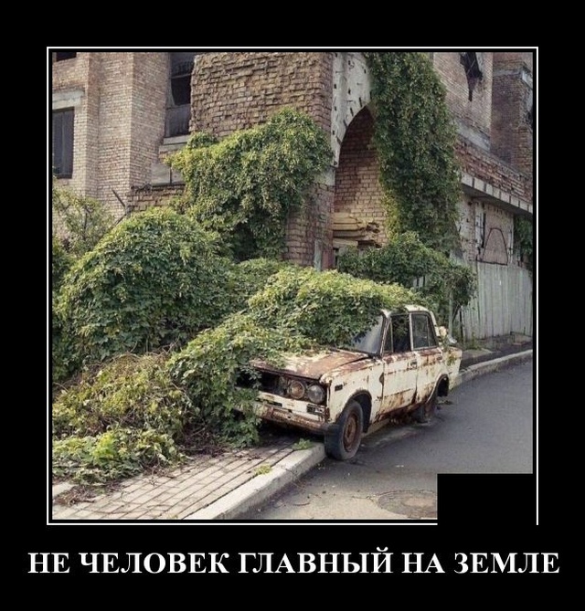 Демотиваторы четверга (20 фото)
