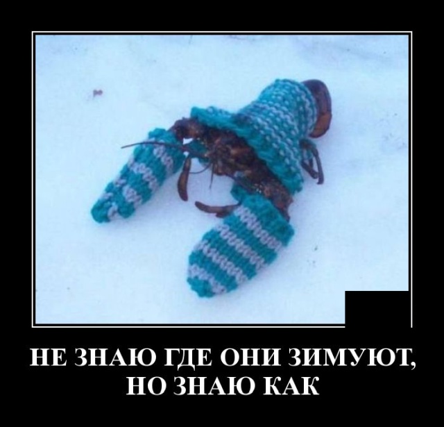Демотиваторы четверга (20 фото)