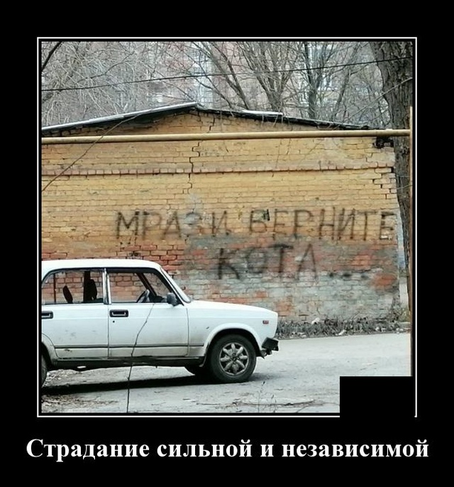 Демотиваторы четверга (20 фото)