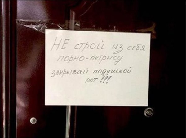 Курьезные объявления и вывески (30 фото)
