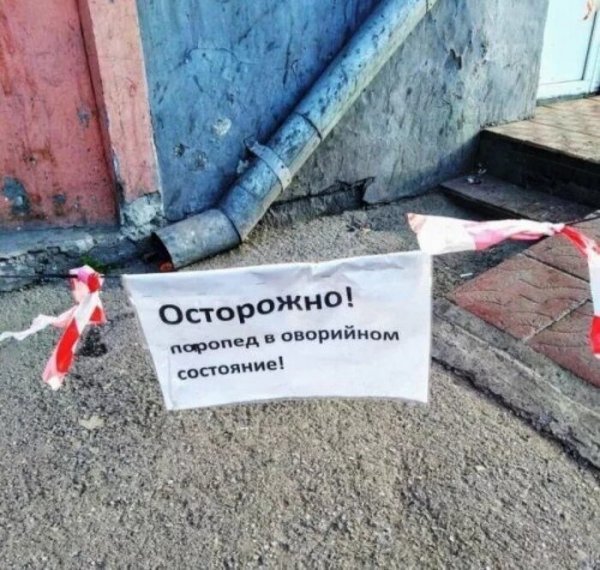 Курьезные объявления и вывески (30 фото)
