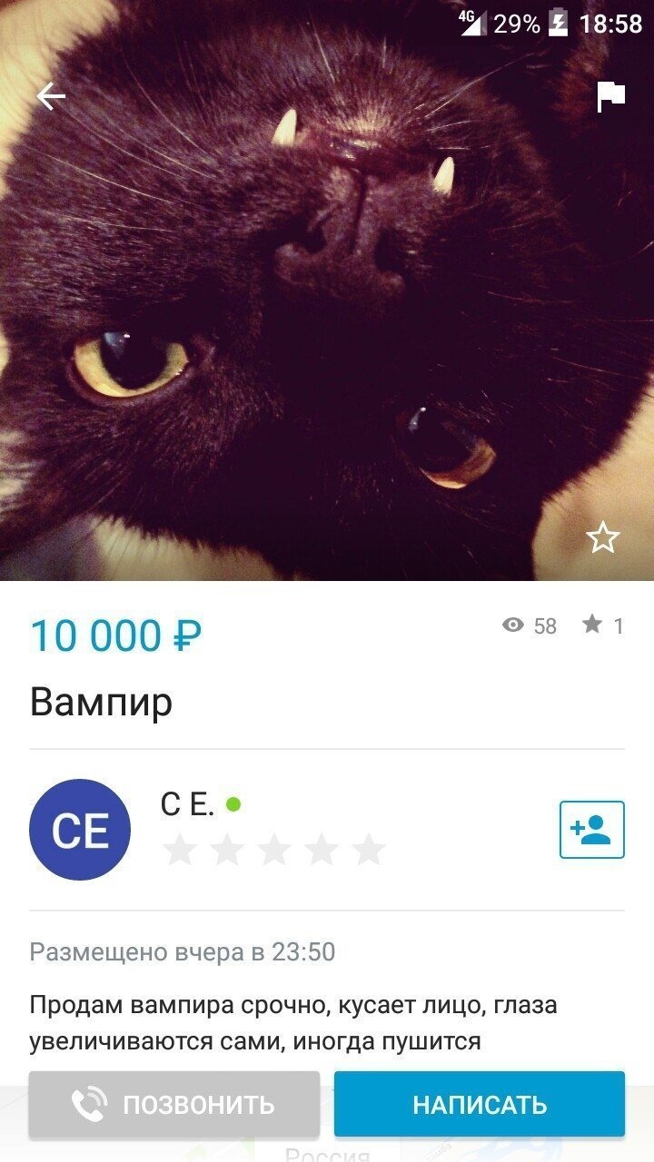 НЕобычные объявления Avito (15 фото)
