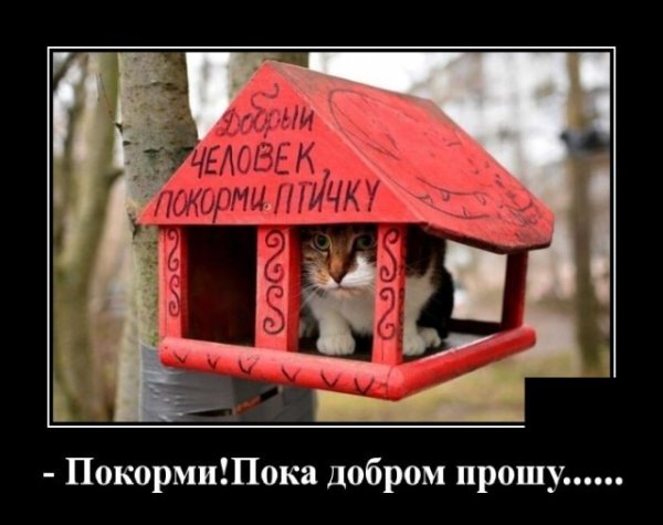 Демотиваторы пятницы (20 фото)