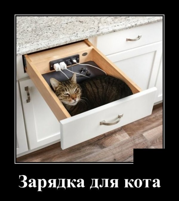 Демотиваторы пятницы (20 фото)