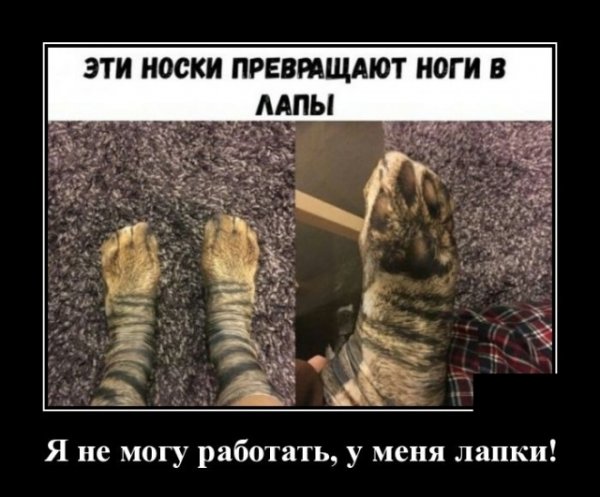 Демотиваторы пятницы (20 фото)