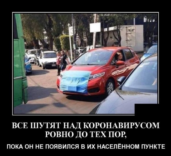 ������ ������������ (20 ����)