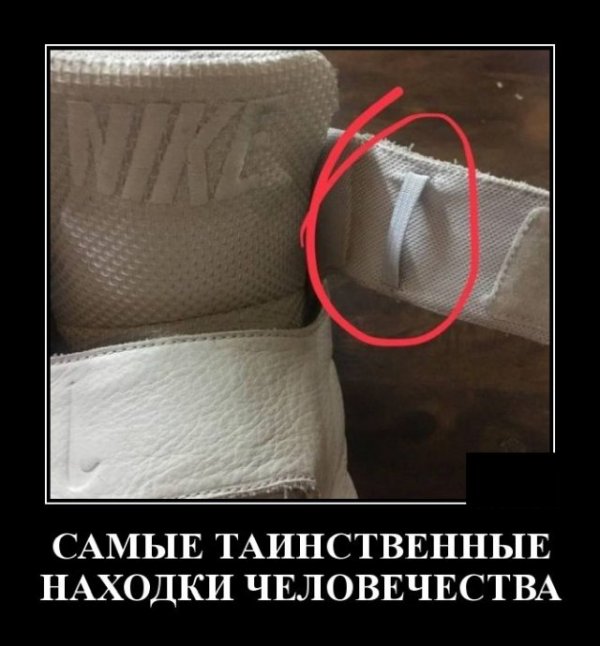������ ������������ (20 ����)