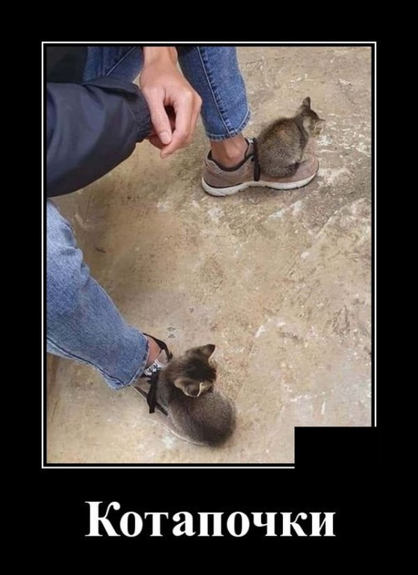 ������ ������������ (20 ����)