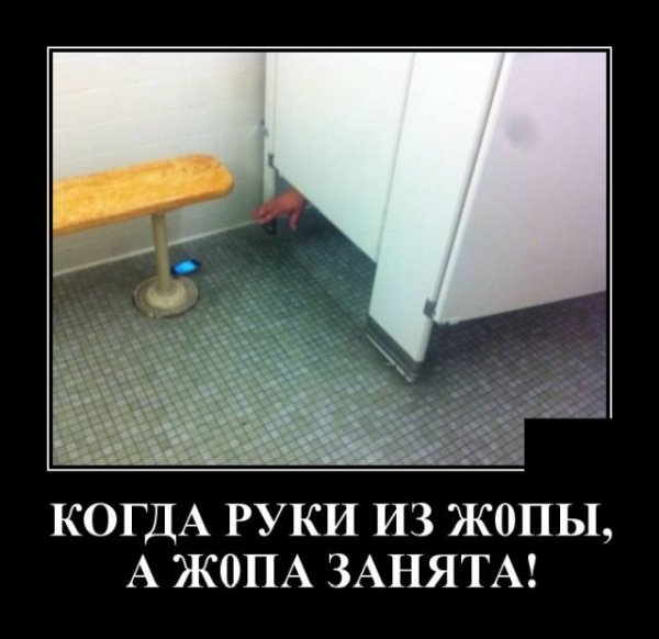 ������ ������������ (20 ����)