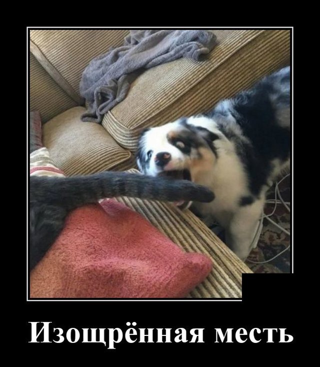 Демотиваторы пятницы (20 фото)