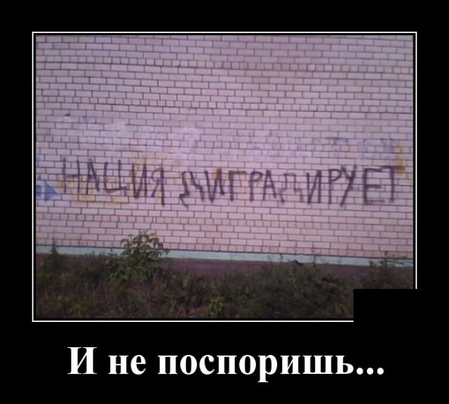 Демотиваторы пятницы (20 фото)