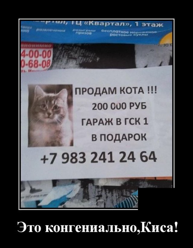 Демотиваторы пятницы (20 фото)