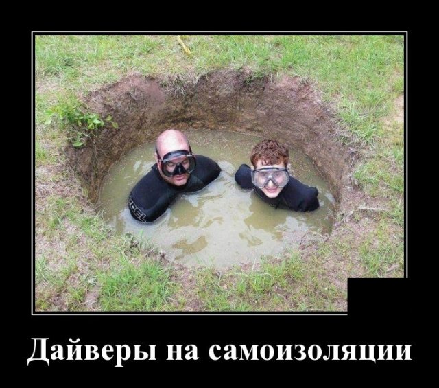 Демотиваторы пятницы (20 фото)