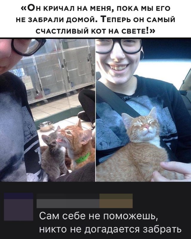 ������� �������� �� ���� (37 ����)