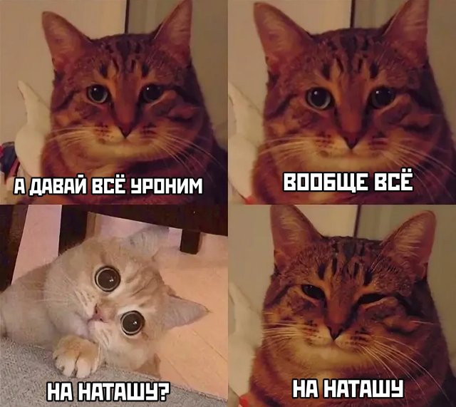 ������� �������� �� ���� (37 ����)