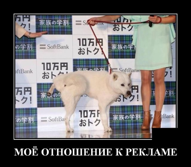������������ �������� (20 ����)