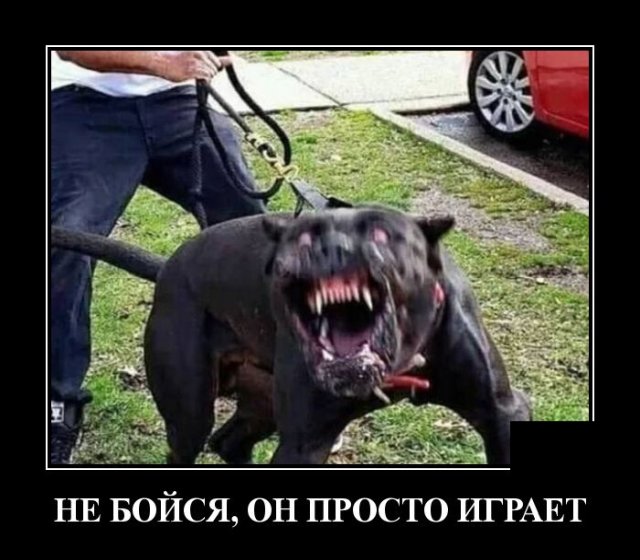 ������������ �������� (20 ����)