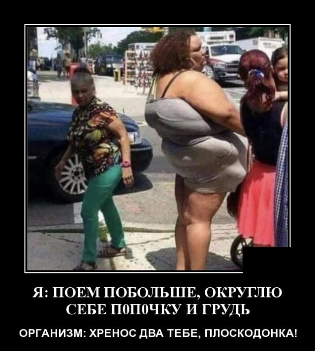 ������������ �������� (20 ����)