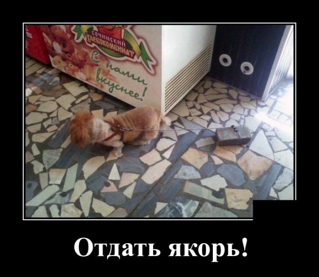 ������������ �������� (20 ����)