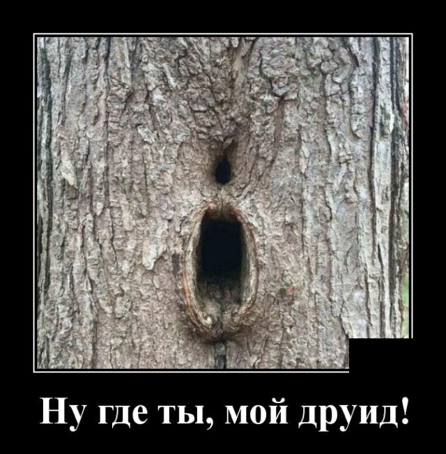Демотиваторы четверга (20 фото)