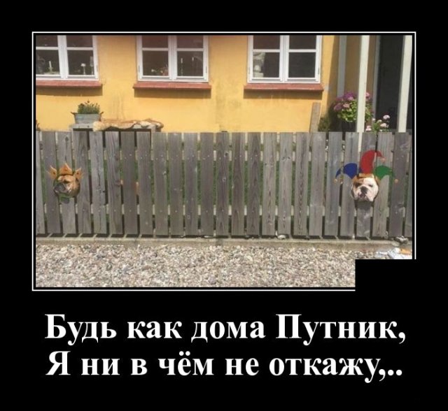 Демотиваторы вторника (20 фото)