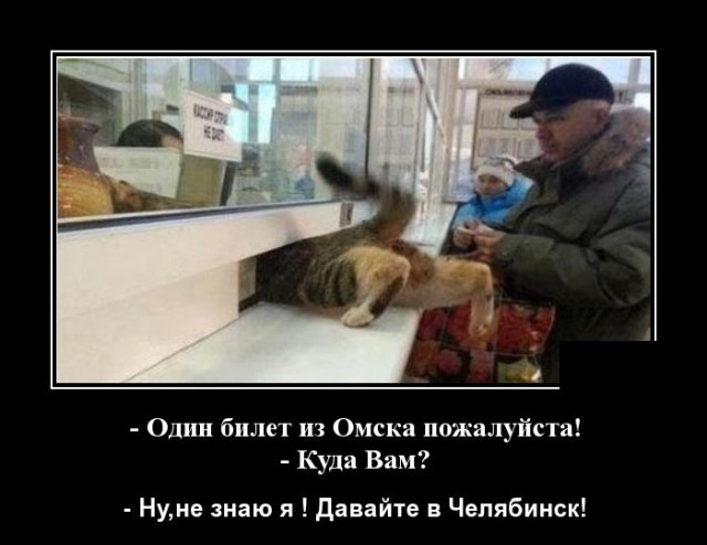 Демотиваторы вторника (20 фото)