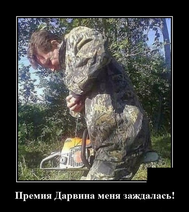 Демотиваторы среды (20 фото)
