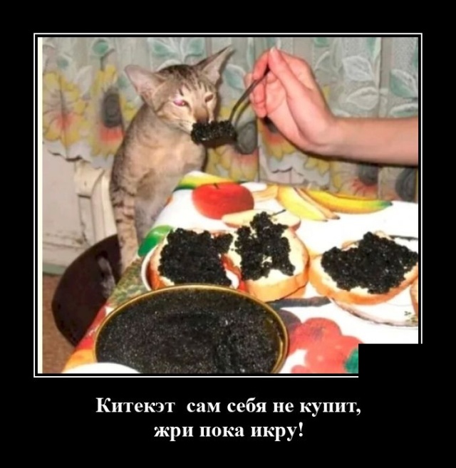 Демотиваторы среды (20 фото)