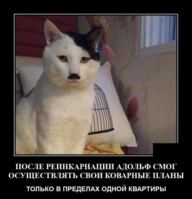 Демотиваторы среды (20 фото)