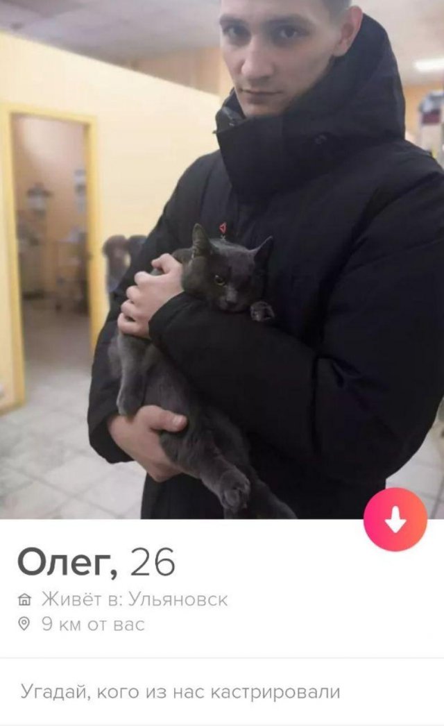   Tinder (13 )