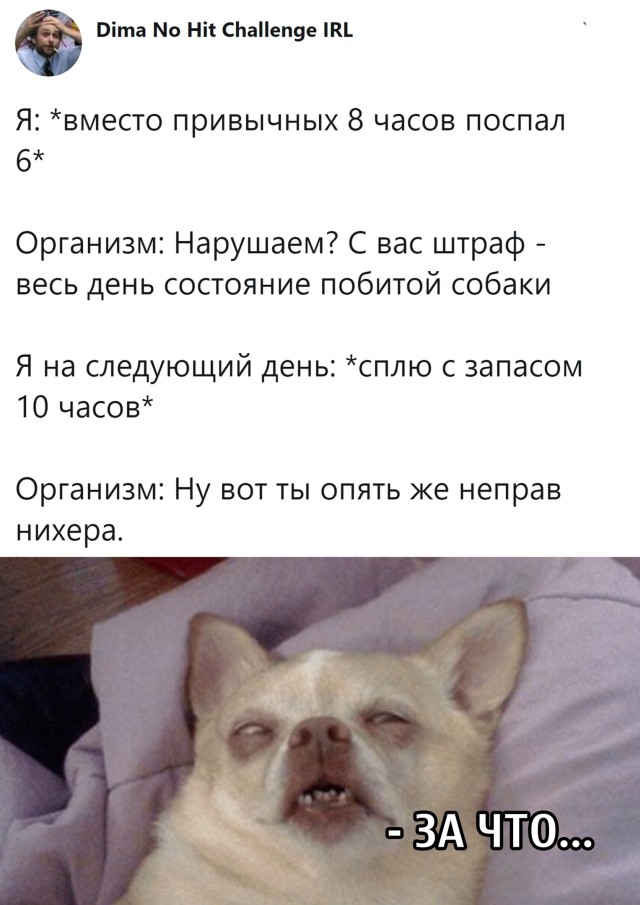 Свежие приколы из сети (32 фото)