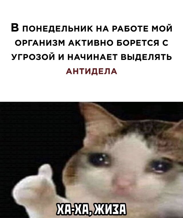 Свежие приколы из сети (32 фото)